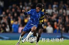 Karsa新星反败为胜表现突出，切尔西前途光明！-开云登录入口地址